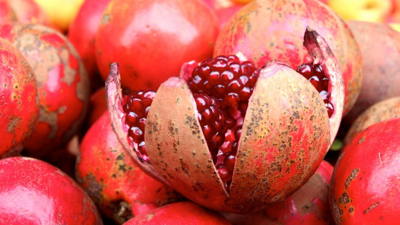 pomegranate